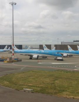 חוזרים לטוס